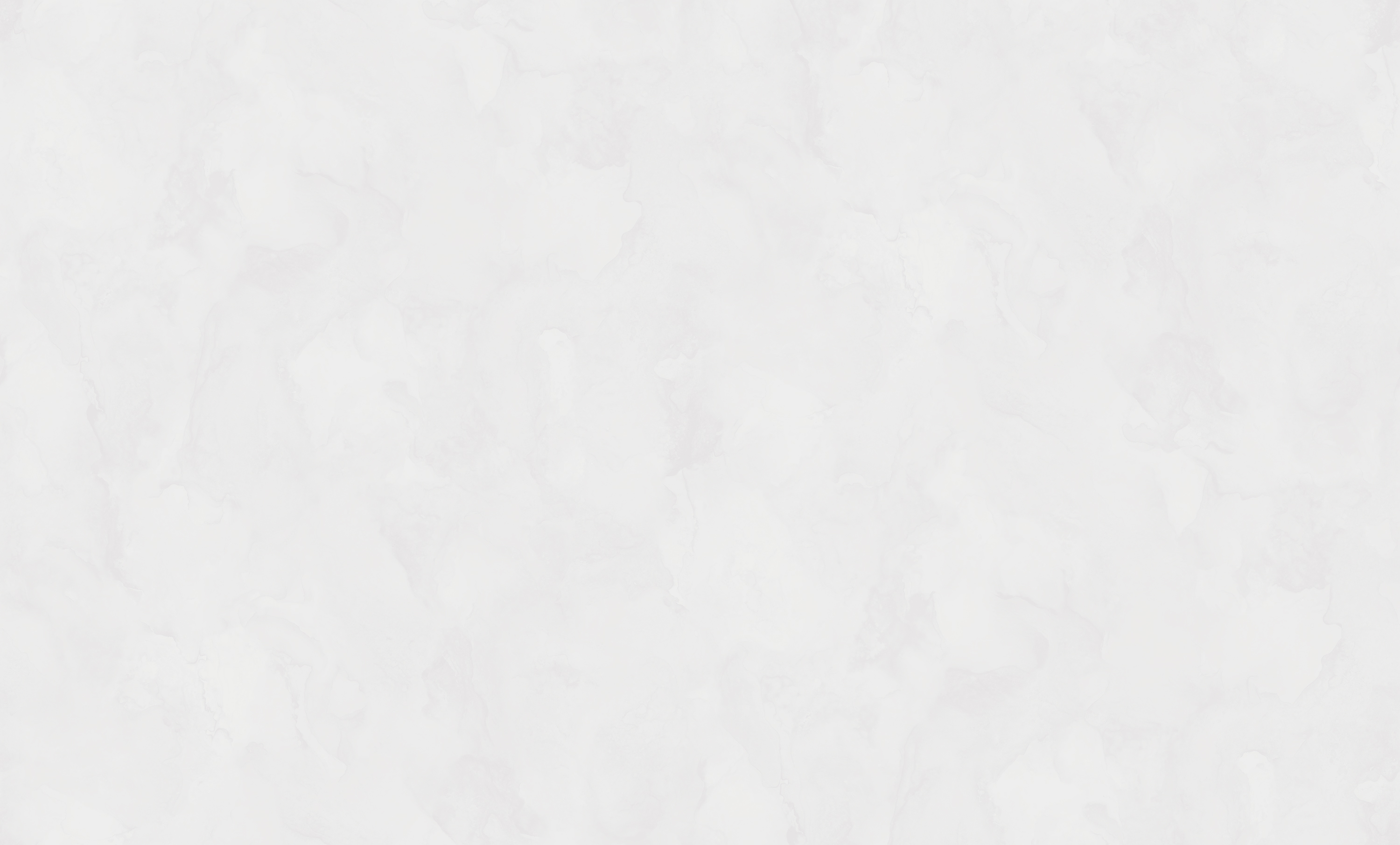 Обои W197013 Rasch Bright Whisper