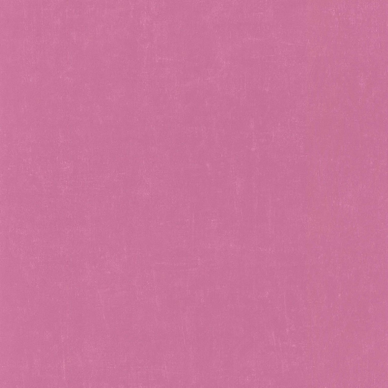 Обои 11163323 Lutece Les Petits Curieux