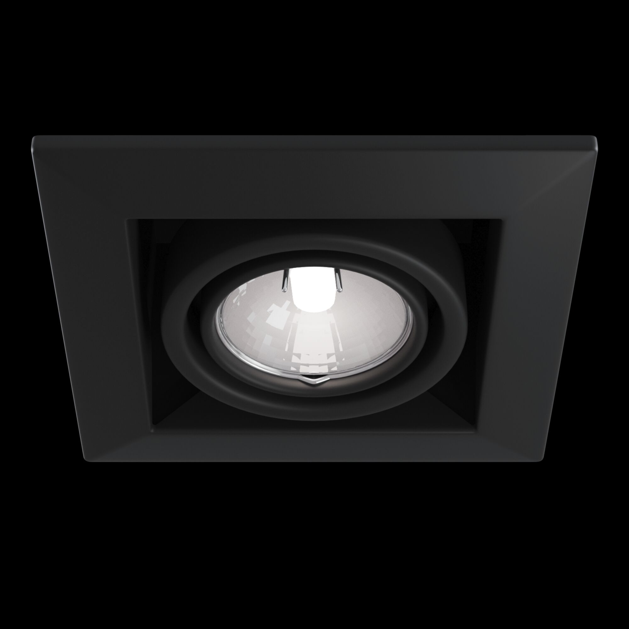 Встраиваемый светильник Technical Downlight DL008-2-01-B