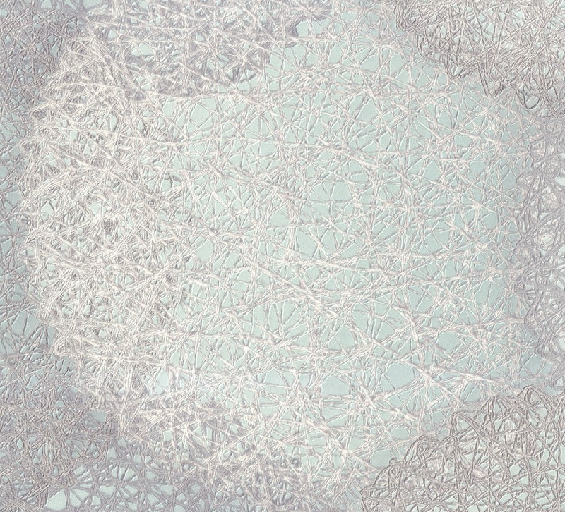 Обои 9067-04 Eurodecor Samui