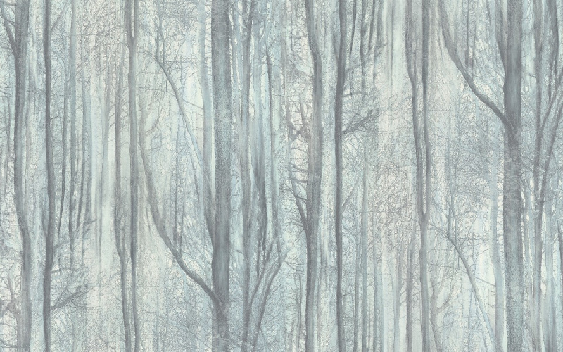 Обои 70392-76 R аспект Акцент Таинственный лес