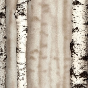 Обои 54198-2 Andrea Rossi Sicily Andrea Rossi коллекция Sicily производства Италия в интернет-магазине Обоитрейд