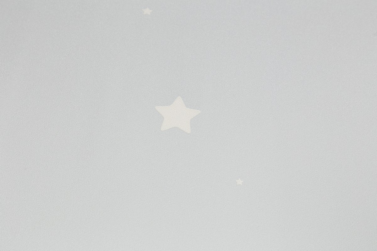 Обои HC72162-14 Palitra Home Color Мечта Palitra Home Color коллекция Мечта производства РОССИЯ в интернет-магазине Обоитрейд