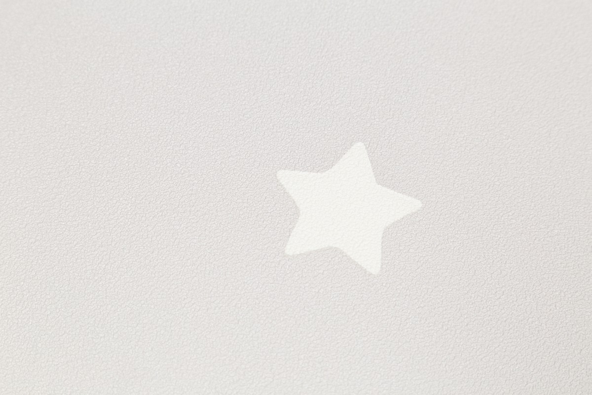 Обои HC72162-42 Palitra Home Color Мечта Palitra Home Color коллекция Мечта производства РОССИЯ в интернет-магазине Обоитрейд