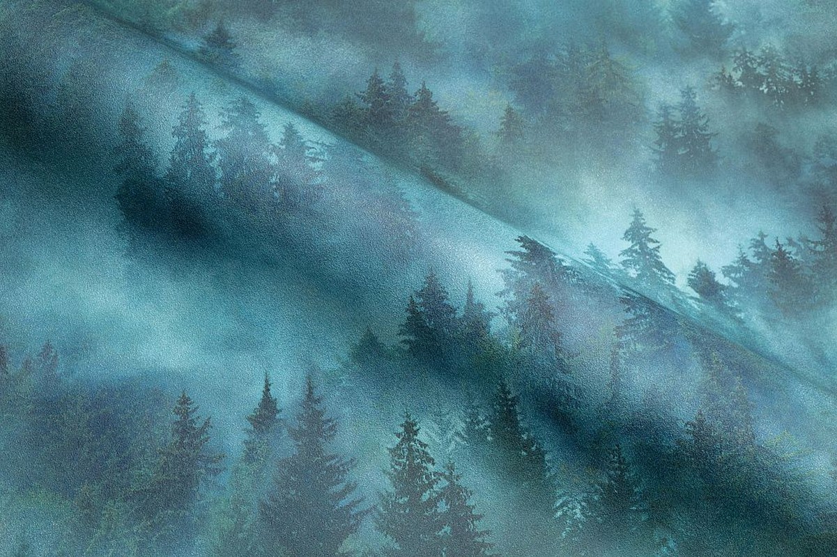 Обои HC71960-67 Palitra Home Color Мой Лес Palitra Home Color коллекция Мой Лес производства РОССИЯ в интернет-магазине Обоитрейд