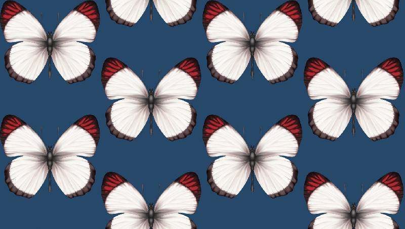 Обои 54401-8 Andrea Rossi Cheradi