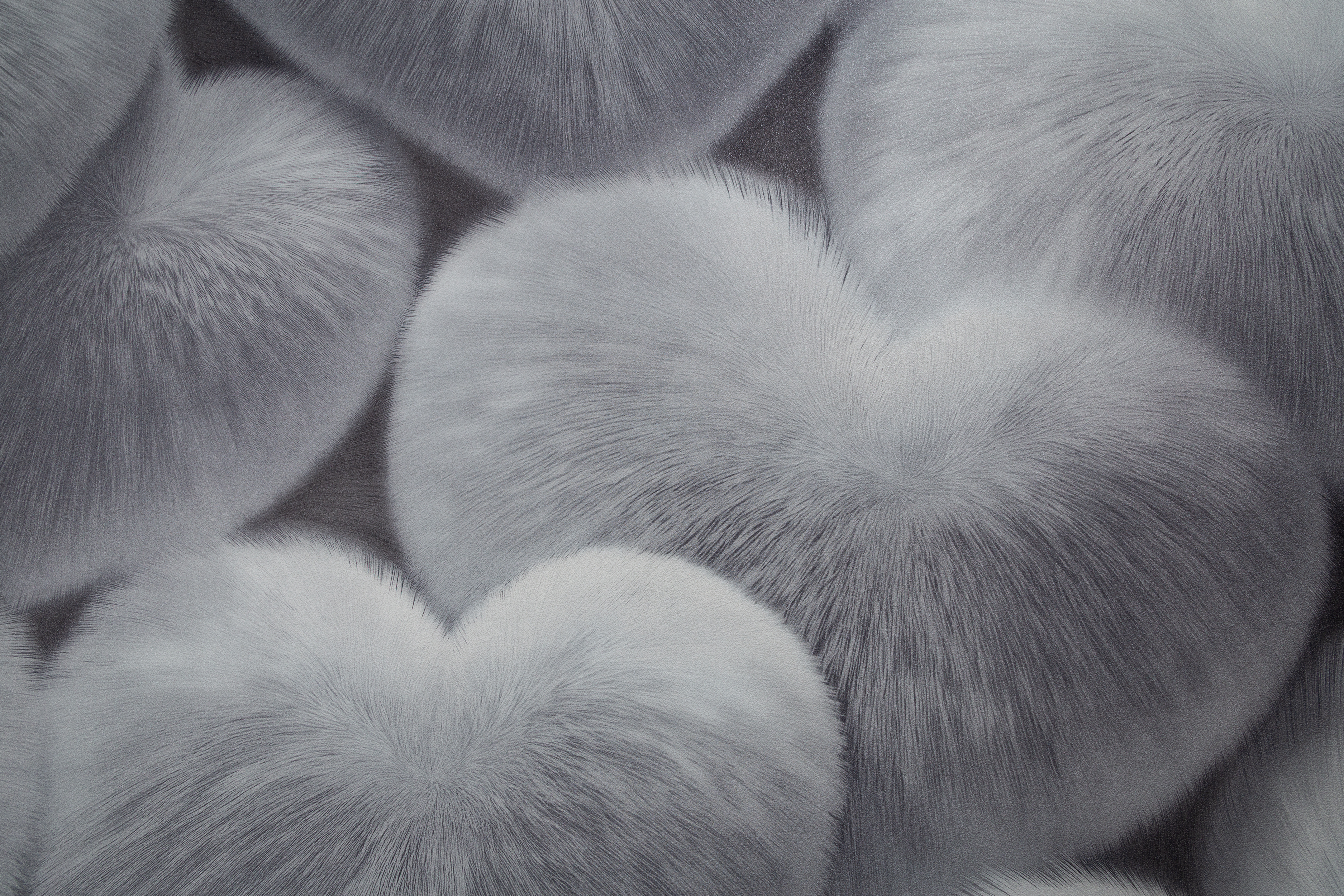 Обои HC72585-44 Palitra Home Color Уфф Palitra Home Color коллекция Уфф производства  в интернет-магазине Обоитрейд