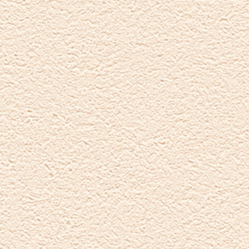 Обои R65438-9 Alessandro Allori Barbara