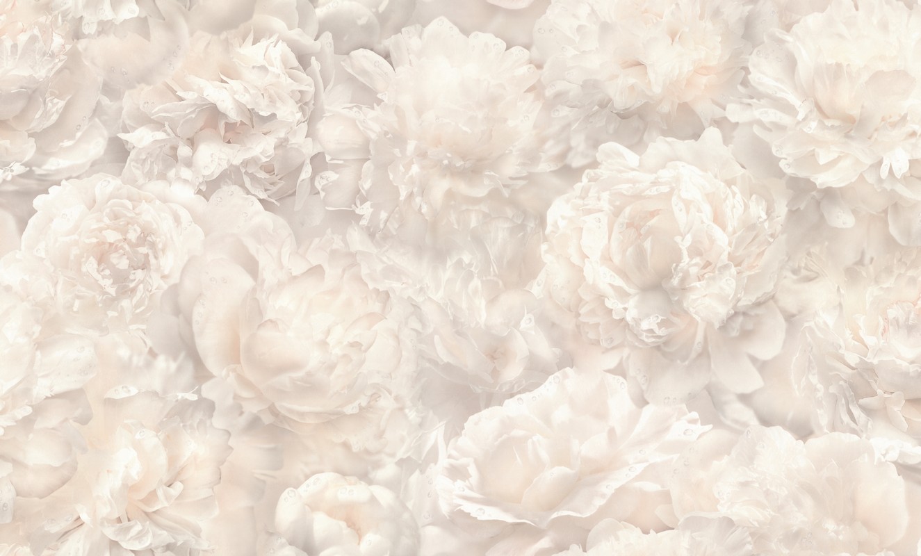 Обои HC71995-12 Palitra Home Color Пионы Palitra Home Color коллекция Пионы производства РОССИЯ в интернет-магазине Обоитрейд