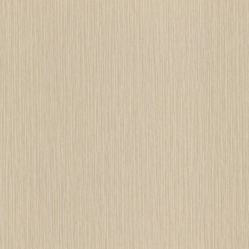 Обои 977233 Rasch Metal Spirit / Wall Textures XL