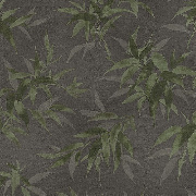 Обои 409772 Rasch Kimono Rasch коллекция Kimono производства Германия в интернет-магазине Обоитрейд