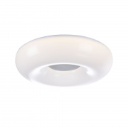 Потолочный светильник Maytoni Ceiling & Wall MOD362-CL-01-60W-W