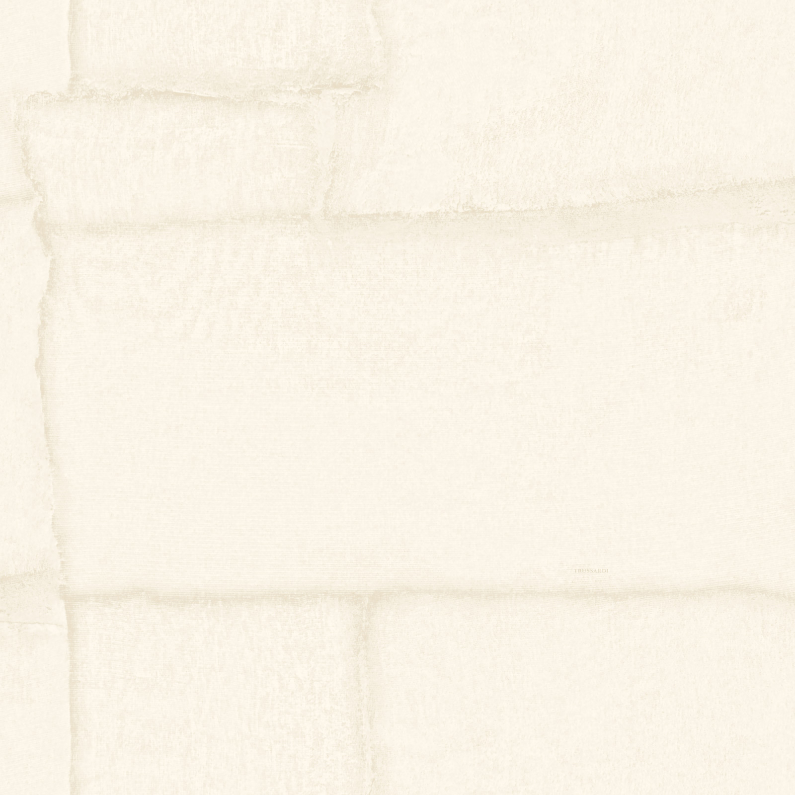 Обои Z30307 Zambaiti Parati Trussardi VIII Zambaiti Parati коллекция Trussardi 8 производства  в интернет-магазине Обоитрейд