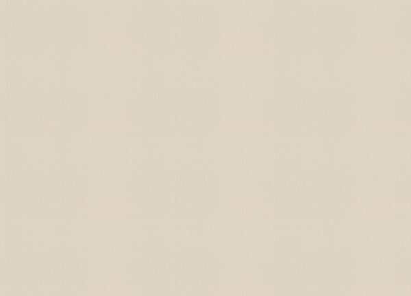 Обои 978513 Rasch Unitex Rasch коллекция Unitex производства  в интернет-магазине Обоитрейд