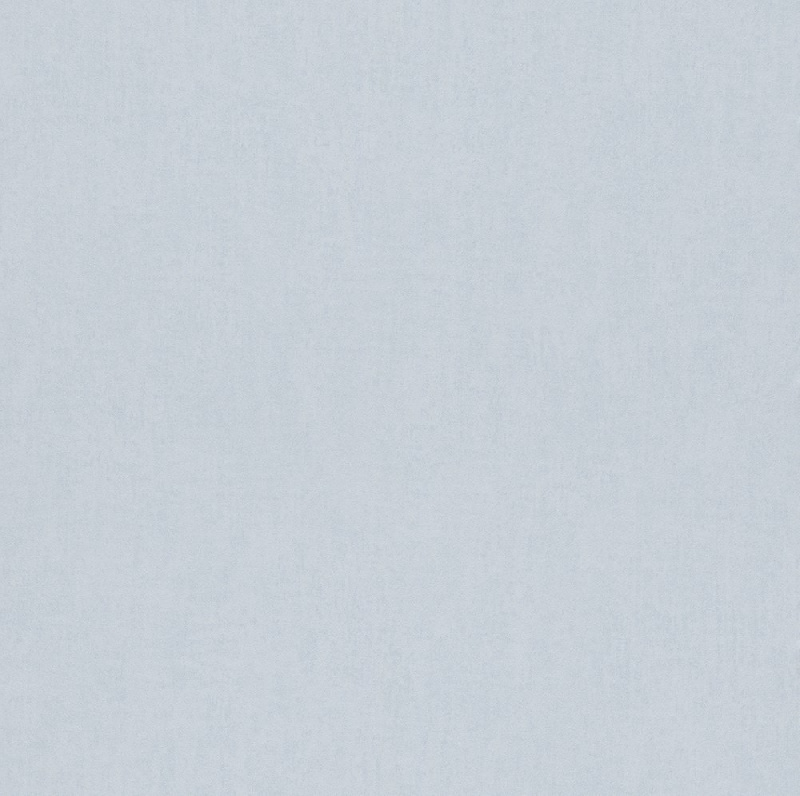 Обои 247442 Rasch Kids&Teens