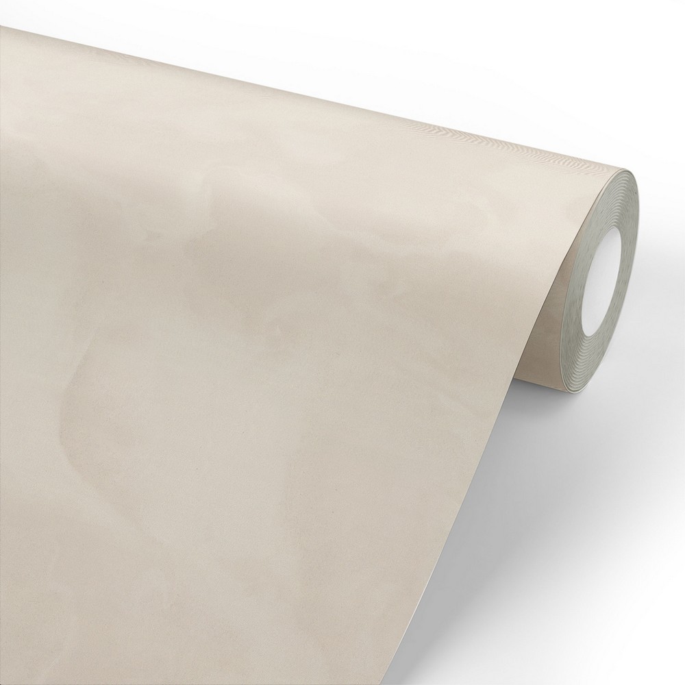 Обои 8078-12 Euro Decor Euphoria Euro Decor коллекция Euphoria производства РОССИЯ в интернет-магазине Обоитрейд