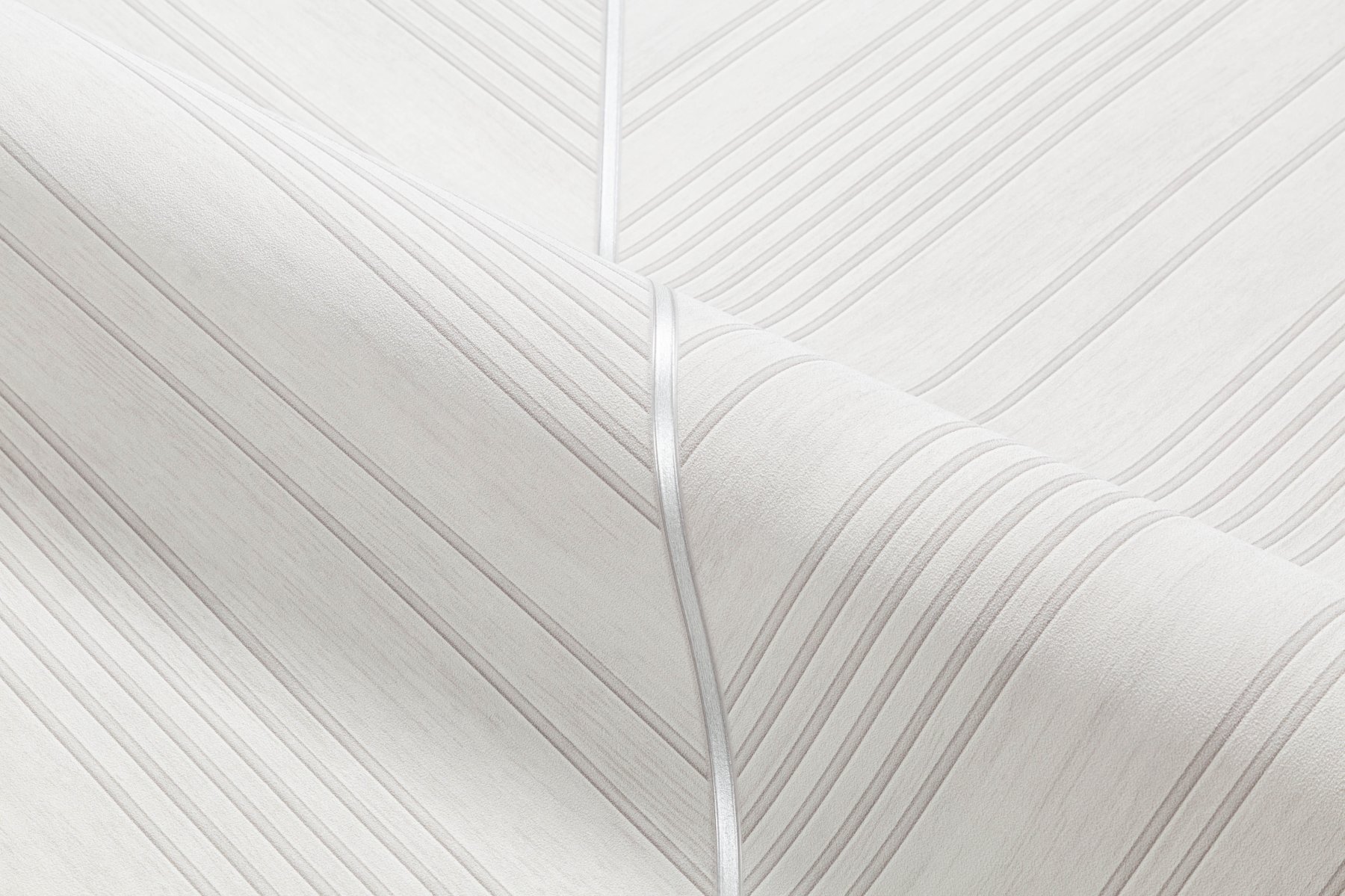 Обои TC72705-14 Palitra Trend Color Тренд Энергия леса Palitra Trend Color коллекция Тренд Энергия леса производства  в интернет-магазине Обоитрейд