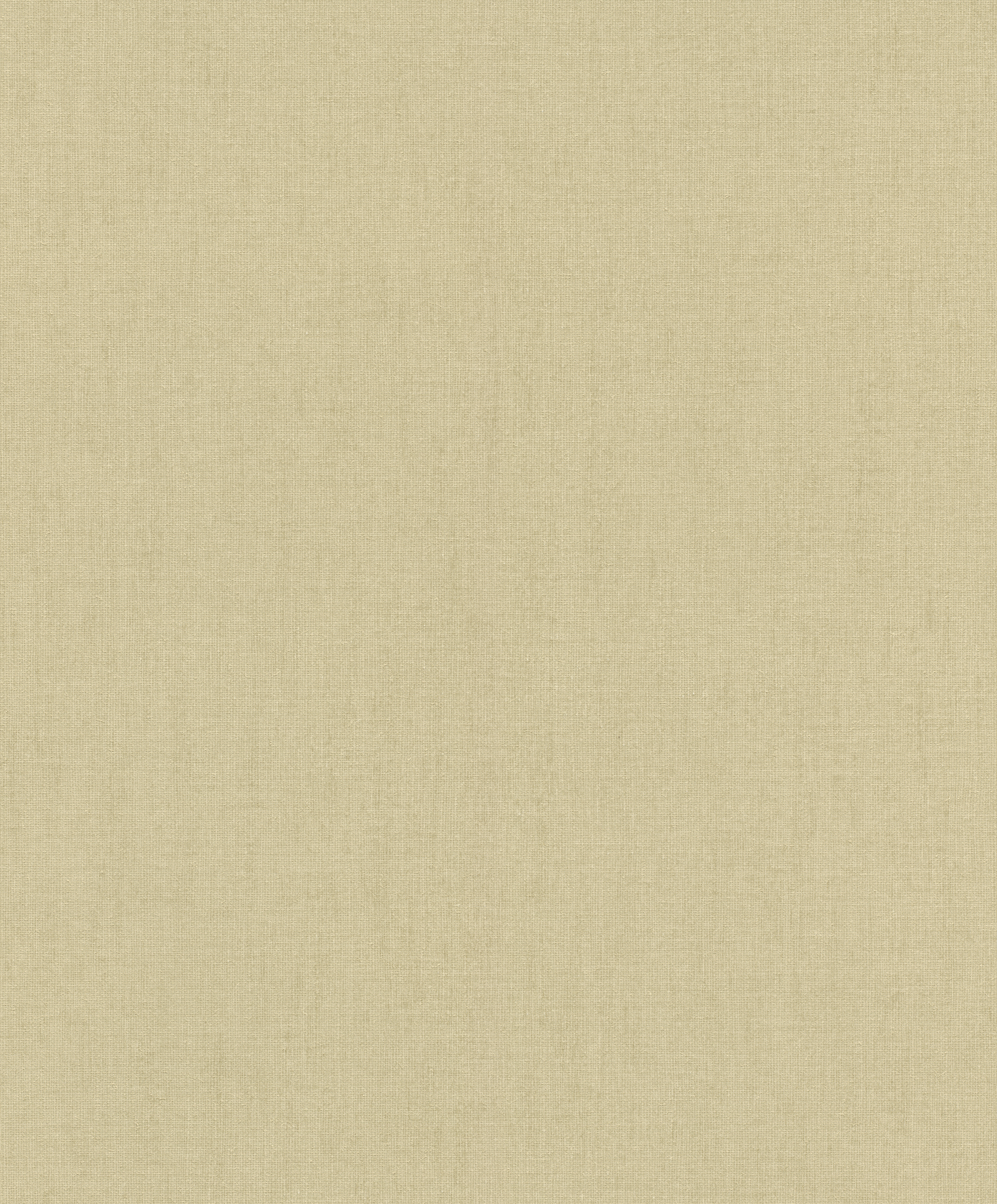 Обои 484687 Rasch Florentine IV