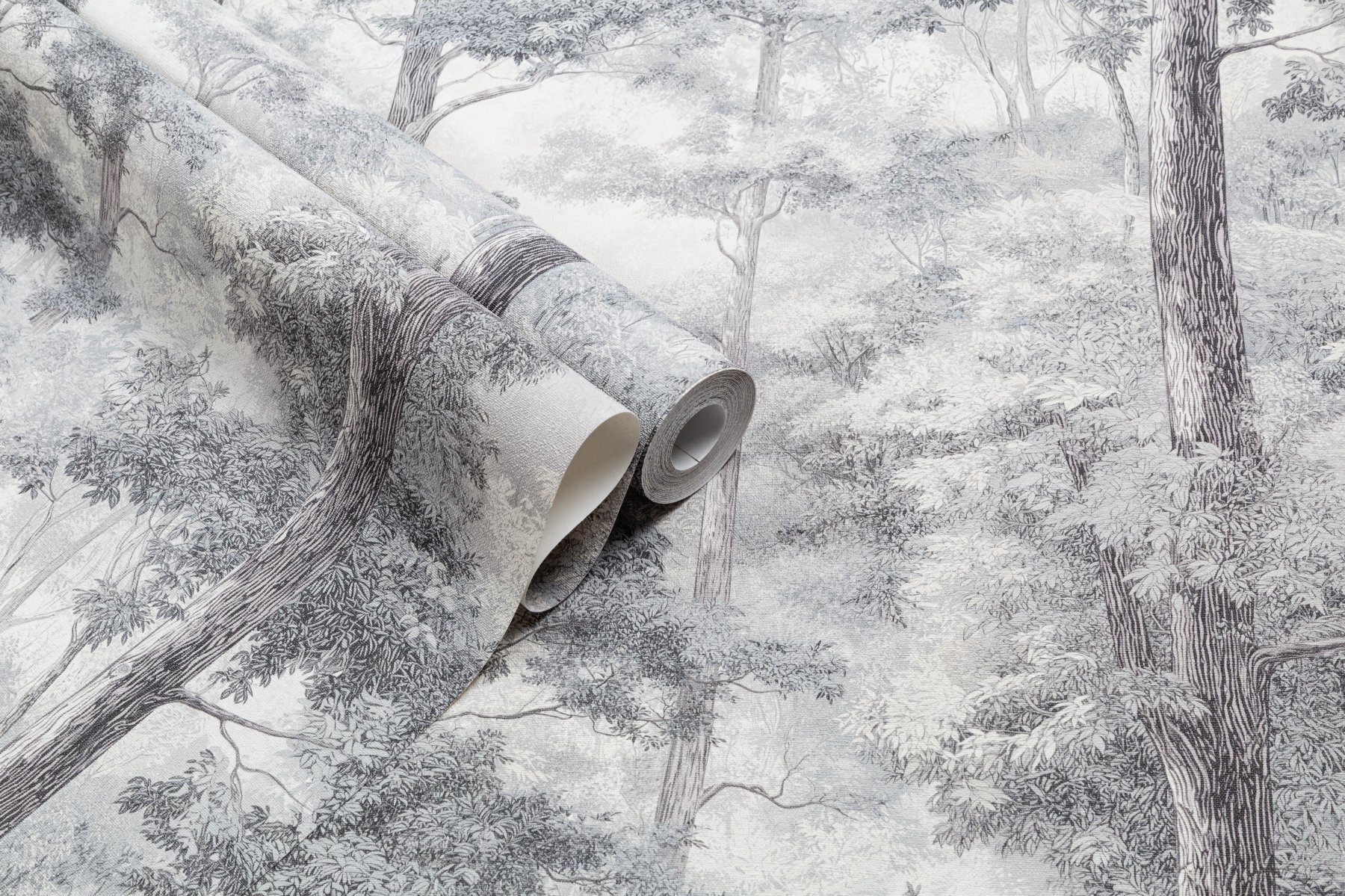 Обои TC72703-14 Palitra Trend Color Тренд Энергия леса Palitra Trend Color коллекция Тренд Энергия леса производства  в интернет-магазине Обоитрейд