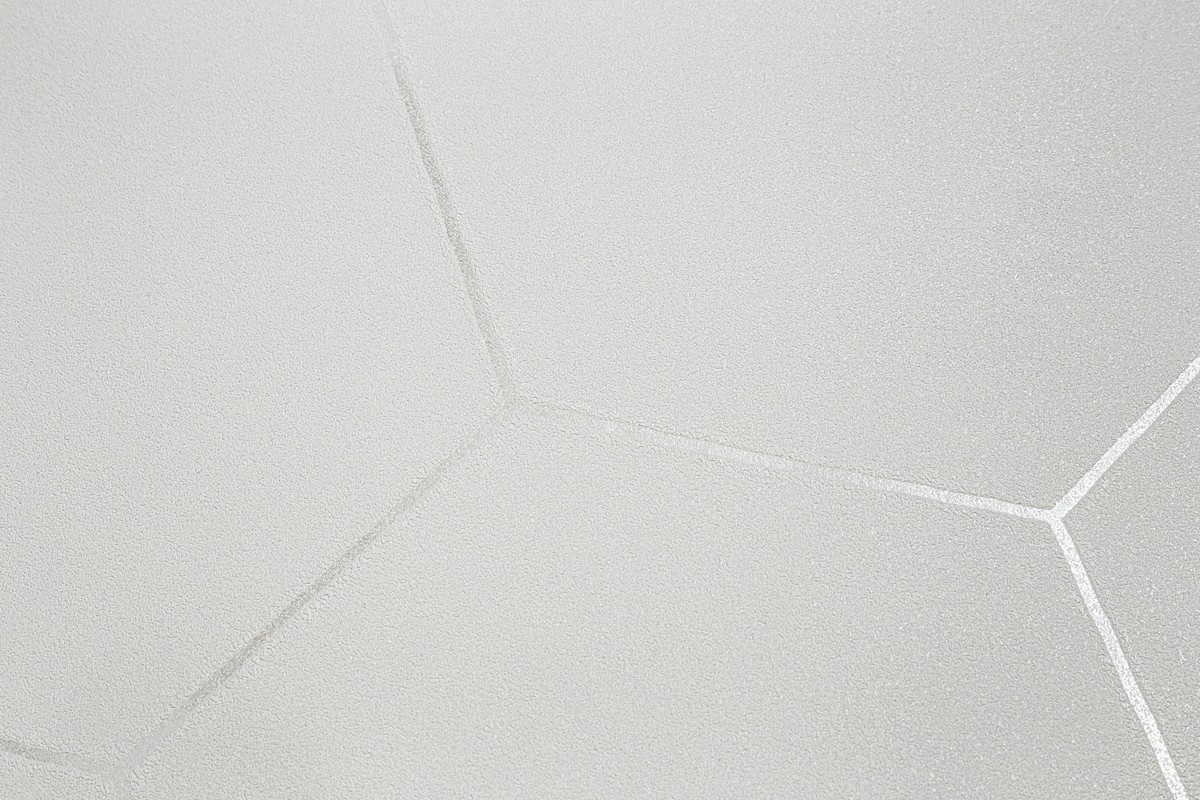 Обои TC72088-11 Palitra Trend Color Топ Вельвет Гексагон Palitra Trend Color коллекция Топ Вельвет Гексагон производства РОССИЯ в интернет-магазине Обоитрейд