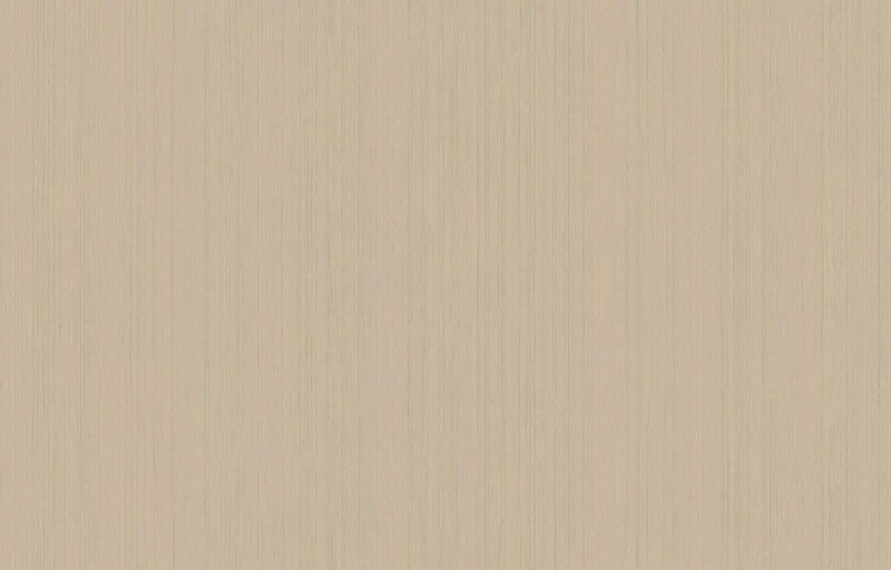 Обои ARTS4 004 Artsimple Mozart