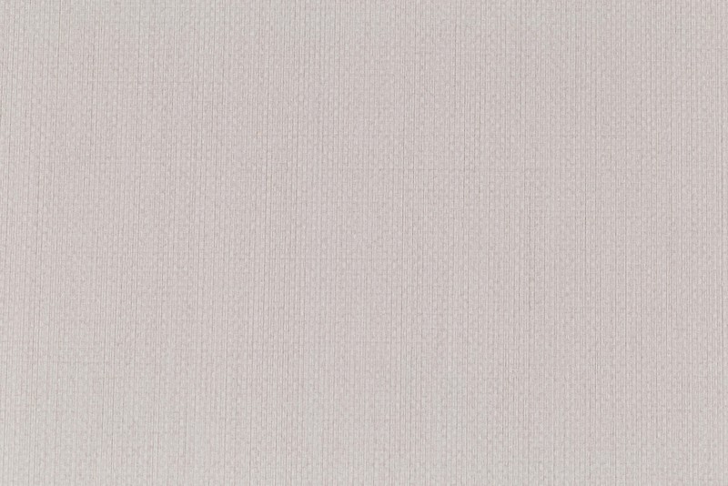 Обои HC72074-82 Palitra Home Color Пальма Palitra Home Color коллекция Пальма производства РОССИЯ в интернет-магазине Обоитрейд