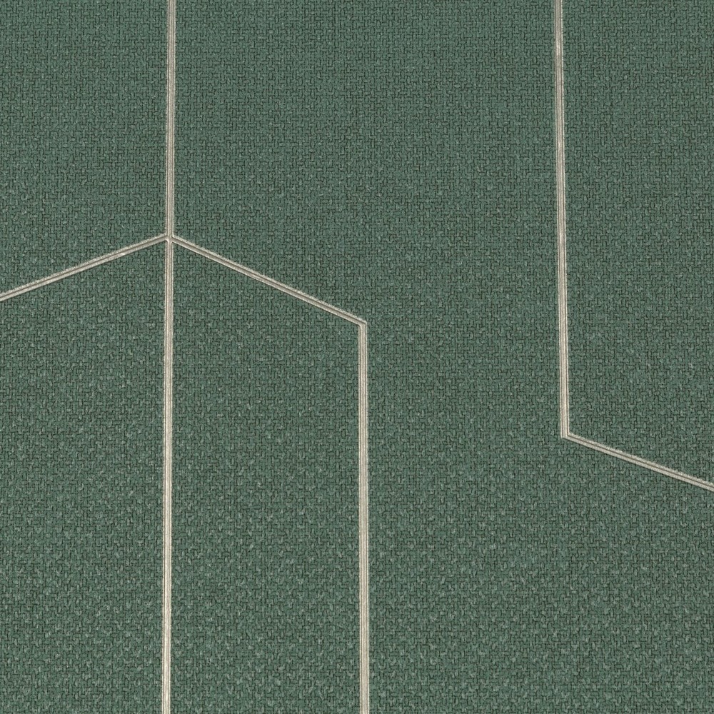 Обои TC72376-77 Palitra Trend Color Тренд Линии Palitra Trend Color коллекция Тренд Линии производства РОССИЯ в интернет-магазине Обоитрейд