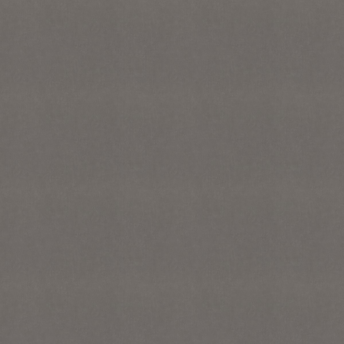 Обои 990416 Rasch Unitex