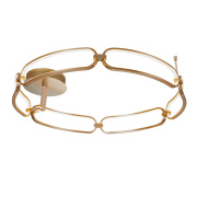 Потолочный светильник Maytoni Modern MOD017CL-L70MG