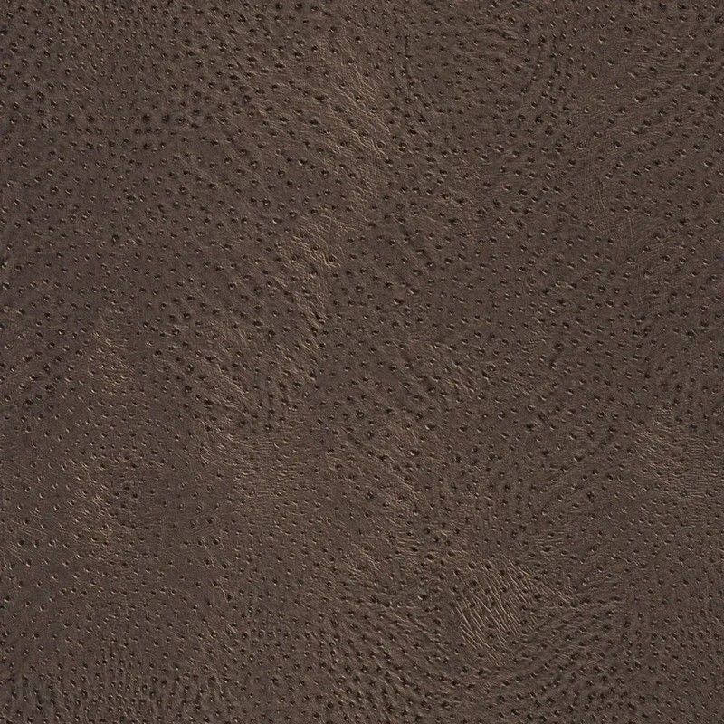 Обои 423617 Rasch African Queen