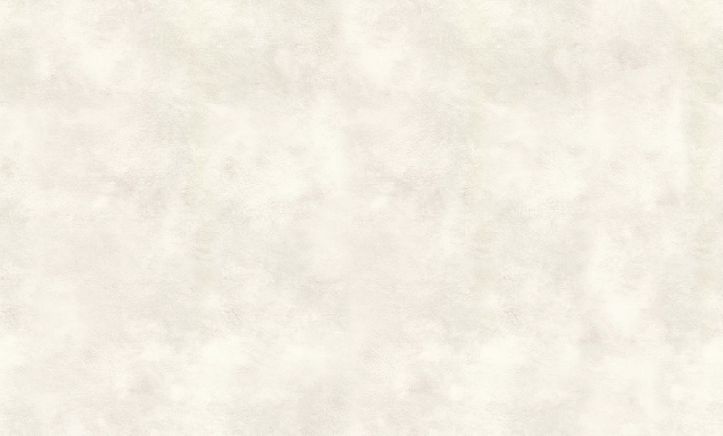 Обои 70445-56 R аспект Штукатурка