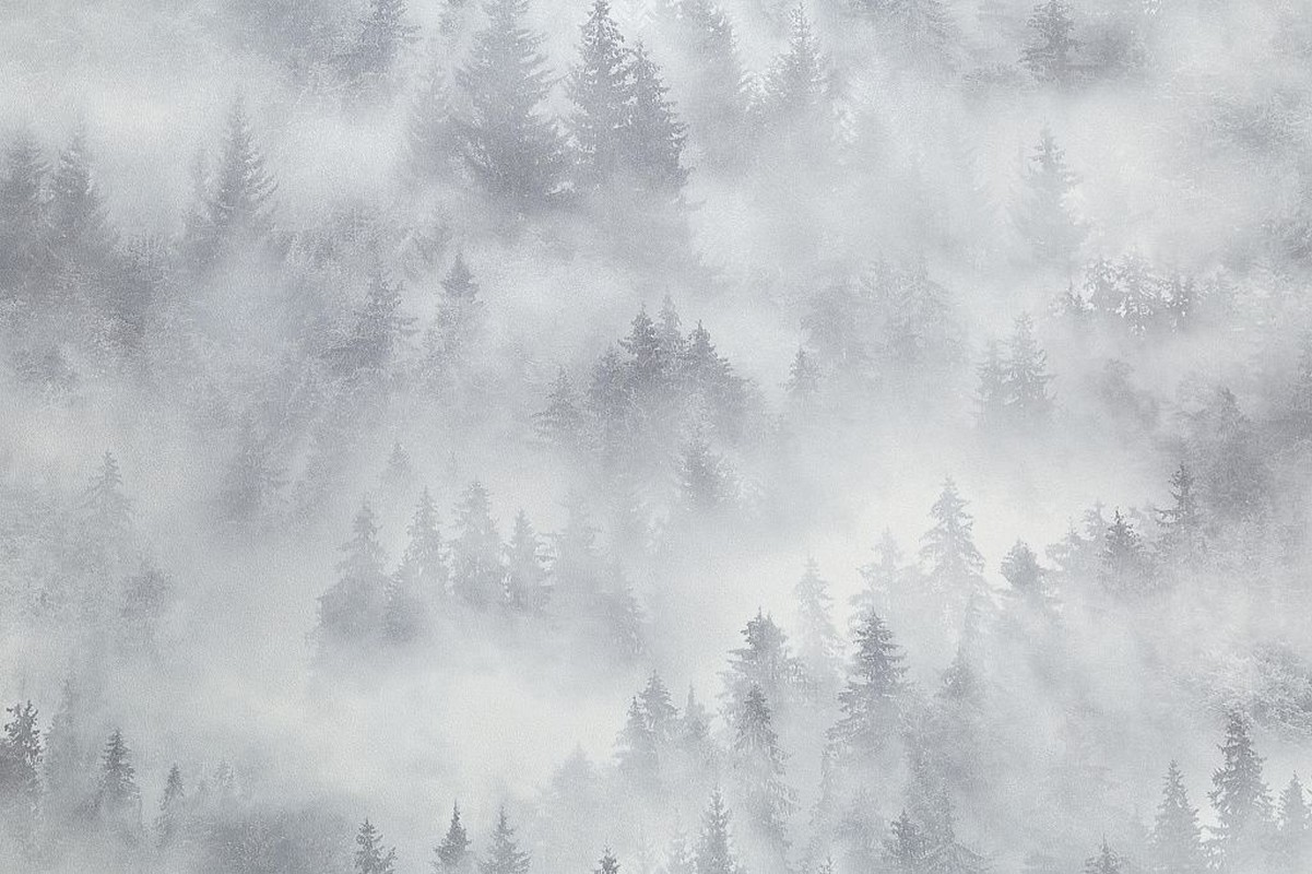 Обои HC71960-14 Palitra Home Color Мой Лес Palitra Home Color коллекция Мой Лес производства РОССИЯ в интернет-магазине Обоитрейд