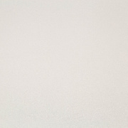 Обои TC72251-12 Trend Color Trend Archway Trend Color коллекция Trend Archway производства РОССИЯ в интернет-магазине Обоитрейд