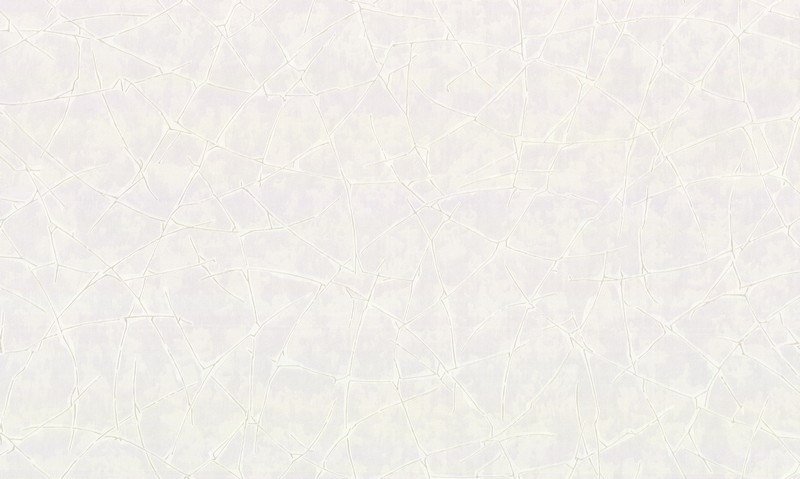 Обои 10273-01 Dieter Langer Inspiration