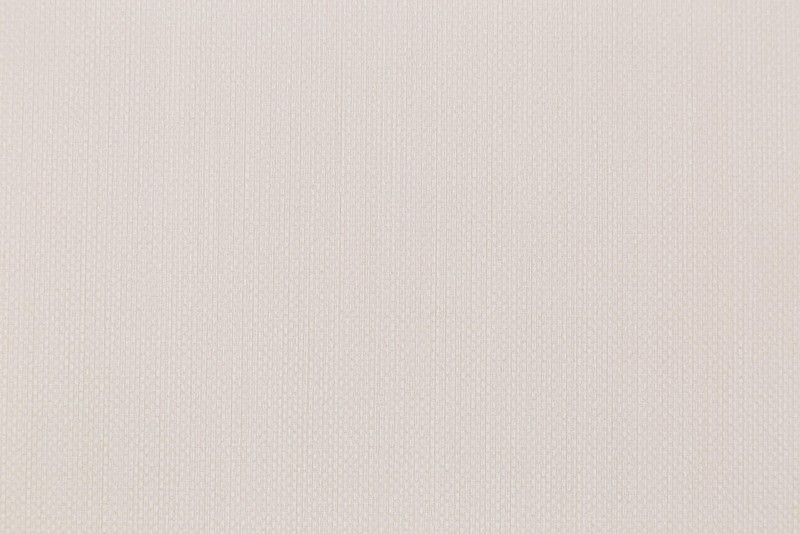 Обои HC72074-24 Palitra Home Color Пальма Palitra Home Color коллекция Пальма производства РОССИЯ в интернет-магазине Обоитрейд