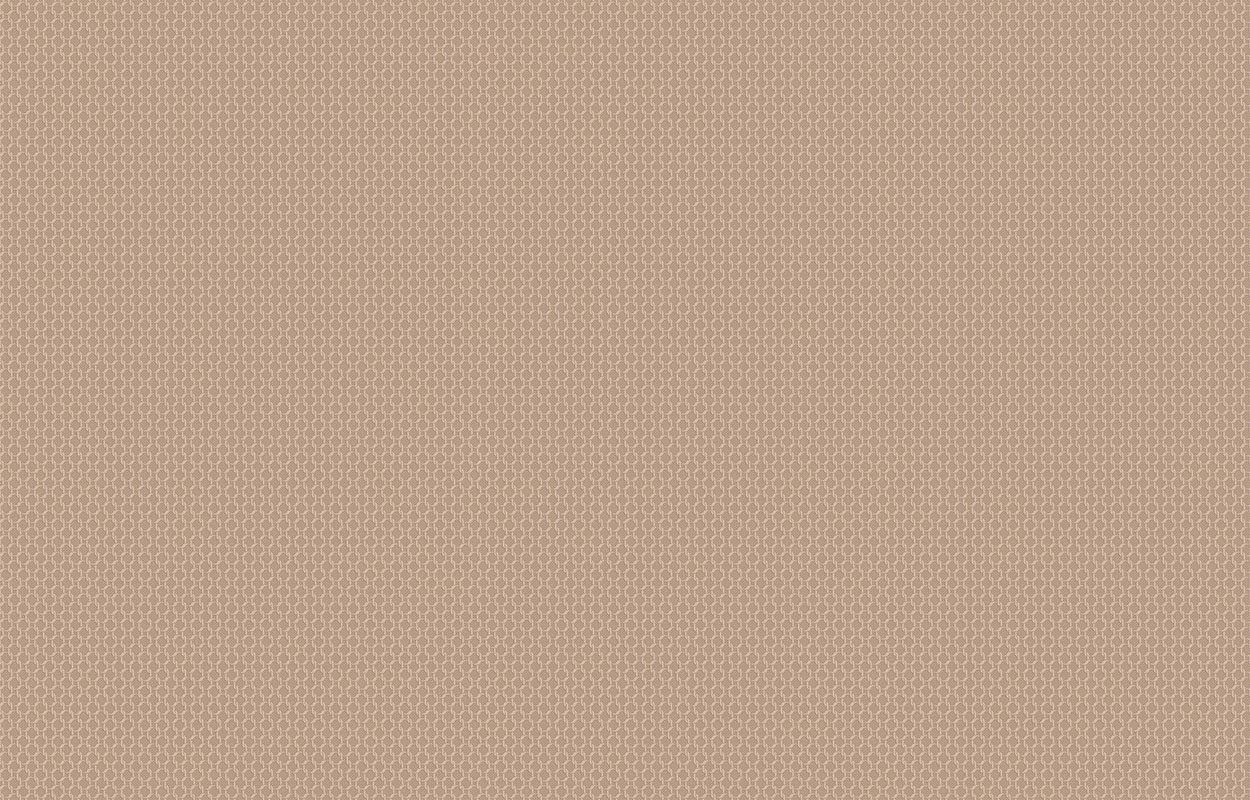 Обои DM2 003/1 Milassa Amsterdam