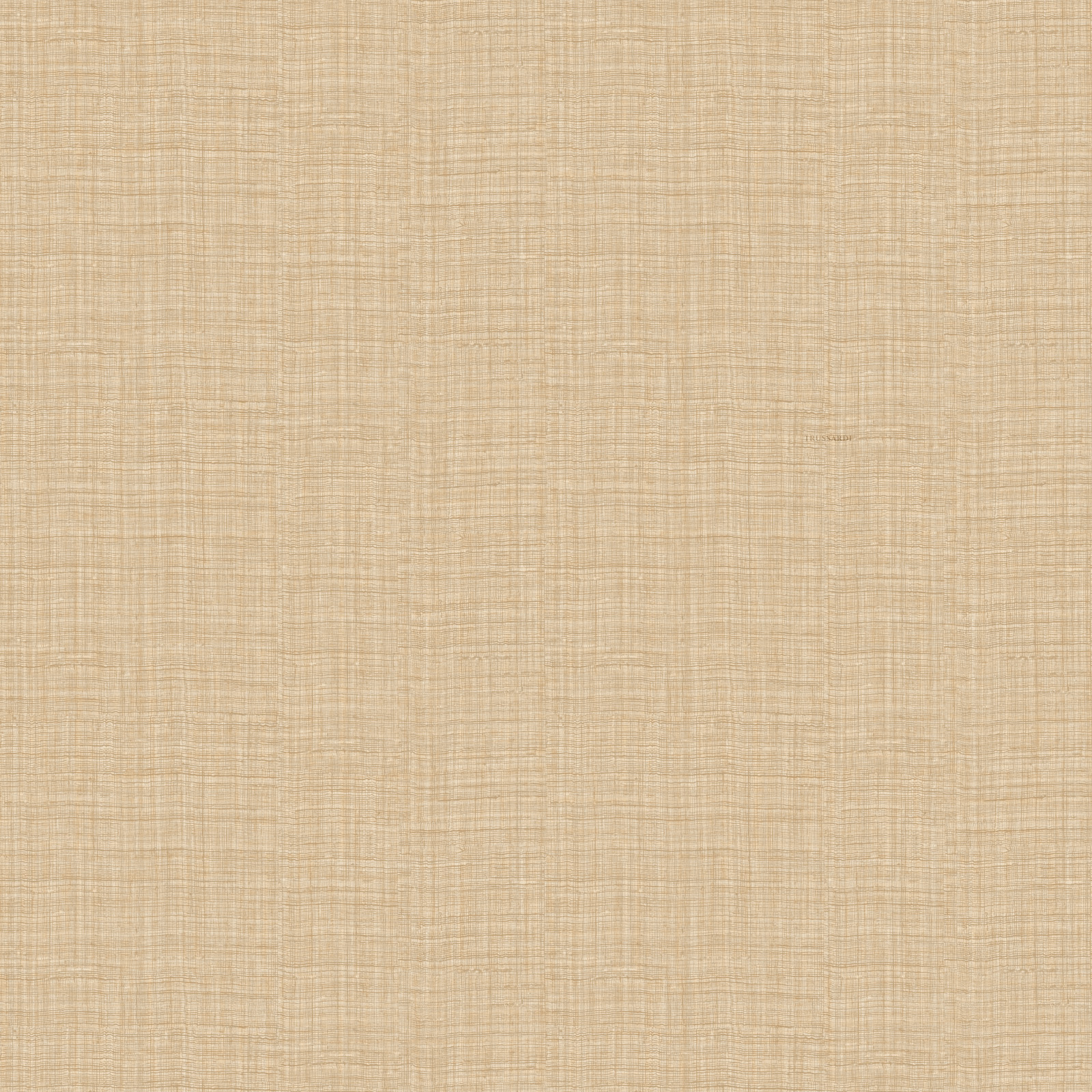 Обои Z30329 Zambaiti Parati Trussardi VIII Zambaiti Parati коллекция Trussardi 8 производства  в интернет-магазине Обоитрейд