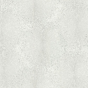 Обои 7235-00 Euro Decor Bengal Euro Decor коллекция Bengal производства РОССИЯ в интернет-магазине Обоитрейд