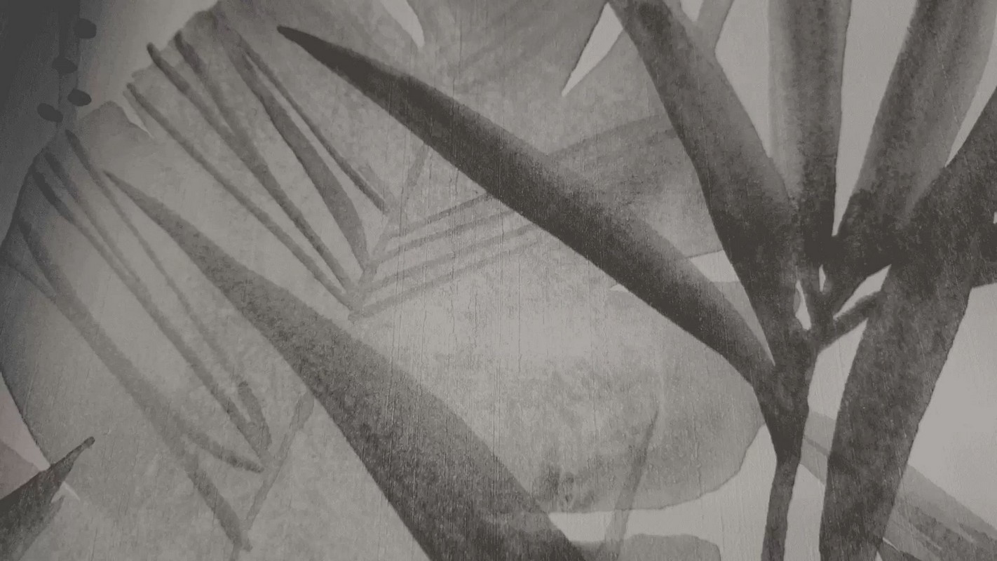 Обои 536416 Rasch Barbara / Barbara Home Collection / Barbara Home Collection 2 Rasch коллекция Barbara производства Германия в интернет-магазине Обоитрейд