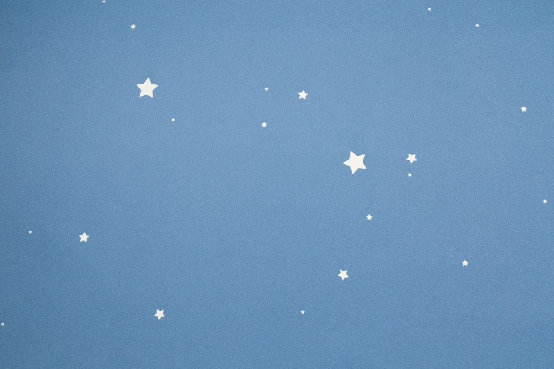 Обои HC72162-66 Palitra Home Color Мечта Palitra Home Color коллекция Мечта производства РОССИЯ в интернет-магазине Обоитрейд