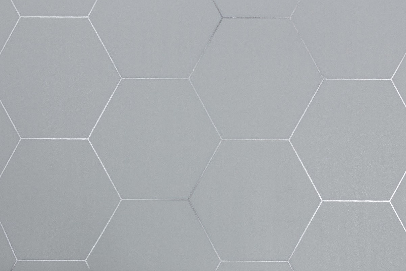 Обои TC72088-41 Palitra Trend Color Топ Вельвет Гексагон Palitra Trend Color коллекция Топ Вельвет Гексагон производства РОССИЯ в интернет-магазине Обоитрейд