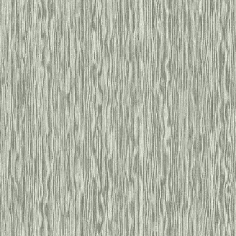 Обои 537659 Rasch Curiosity