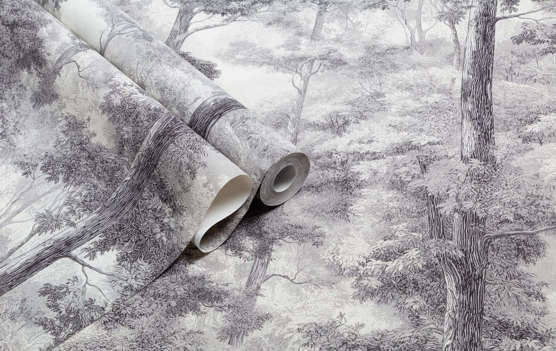 Обои TC72703-41 Palitra Trend Color Тренд Энергия леса Palitra Trend Color коллекция Тренд Энергия леса производства  в интернет-магазине Обоитрейд