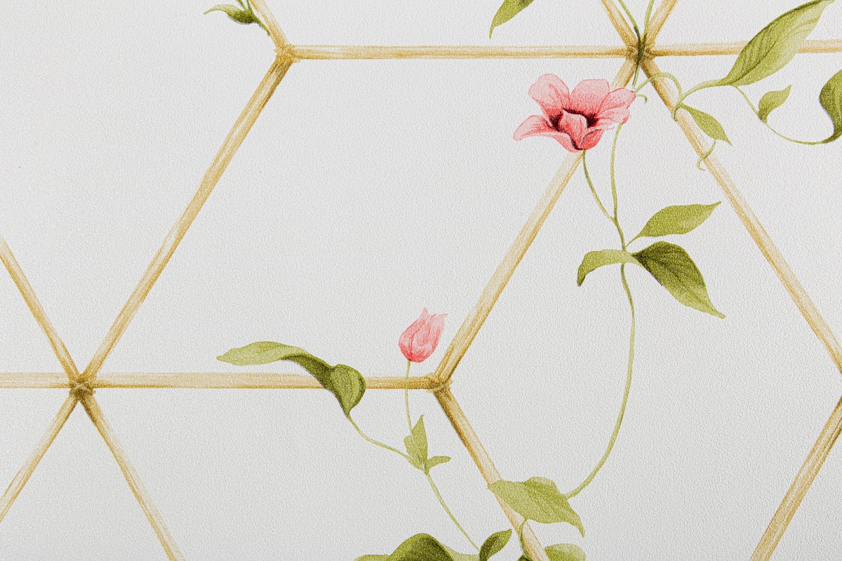 Обои TC72063-11 Palitra Trend Color Топ Вельвет Птички Palitra Trend Color коллекция Топ Вельвет Птички производства РОССИЯ в интернет-магазине Обоитрейд