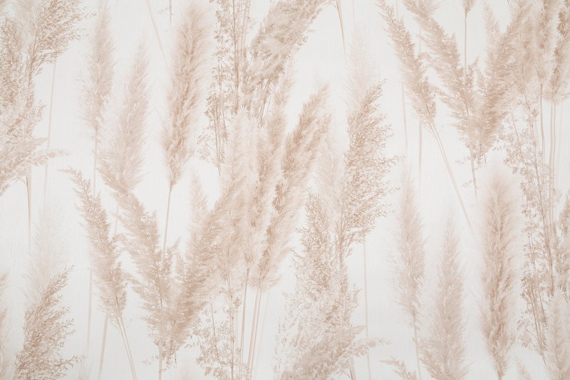 Обои VV72086-21 VOG Cortaderia