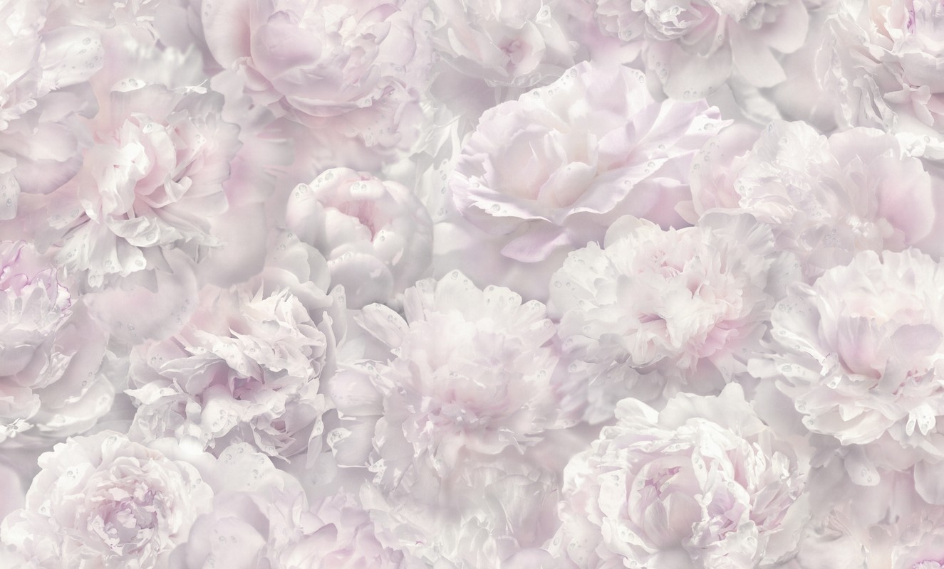 Обои HC71995-15 Palitra Home Color Пионы