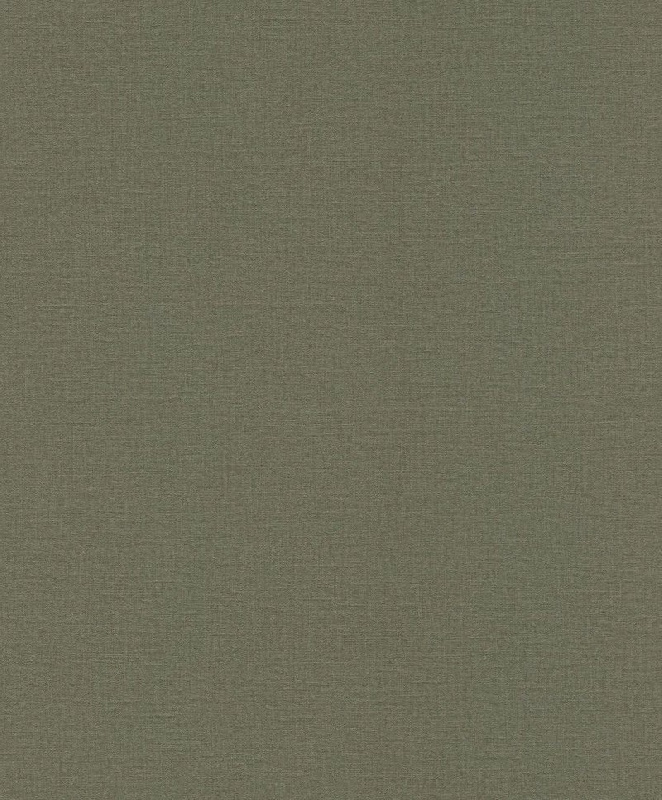 Обои 555943 Rasch Lirico