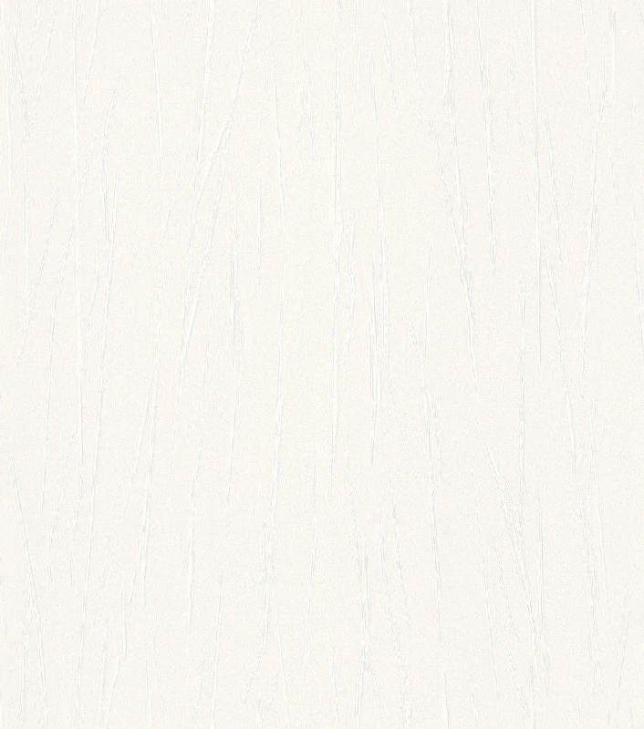 Обои 605907 Rasch Passepartout