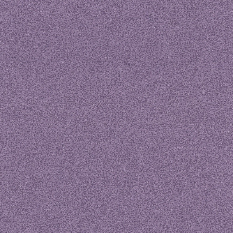 Обои 421958 Rasch Miracle