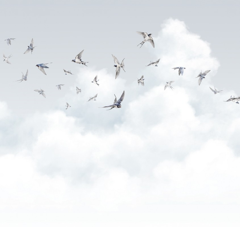 Обои AM11 006 Milassa Ambient vol. 3